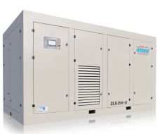 Máy nén khí thứ cấp nam châm vĩnh cửu ZLS-2i